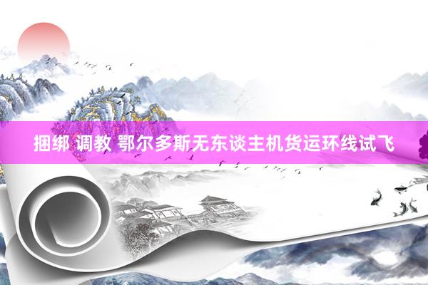 捆绑 调教 鄂尔多斯无东谈主机货运环线试飞