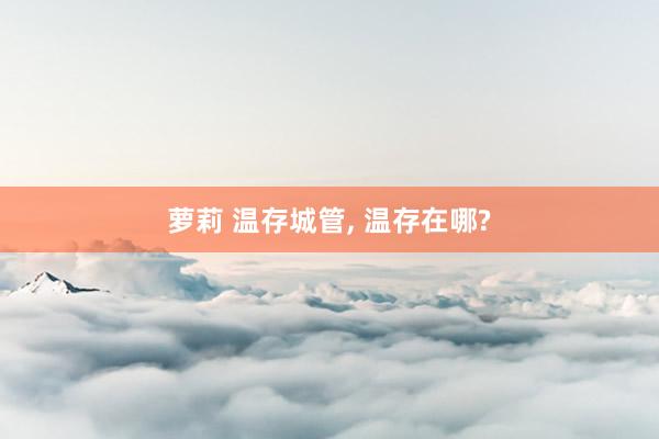 萝莉 温存城管, 温存在哪?